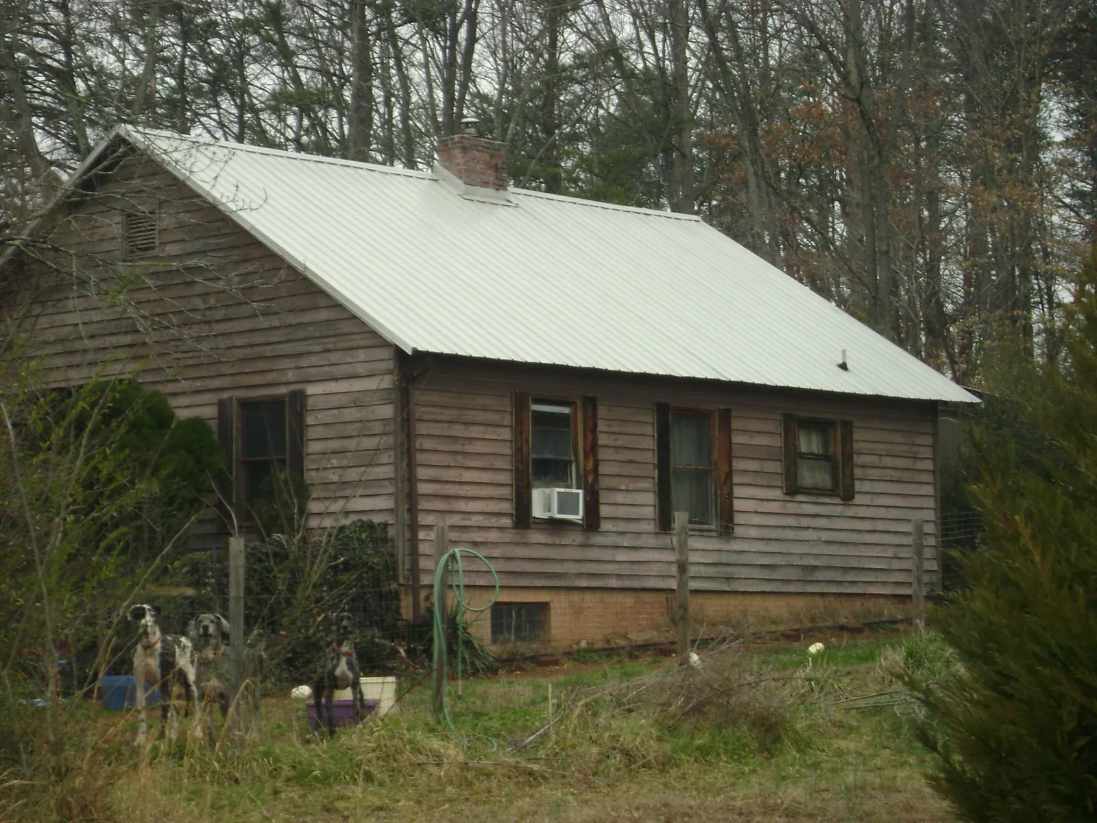 White metal roof on an old wood sided farmhouse, from a Asphalt Shingle Roof Repair job in Nixon